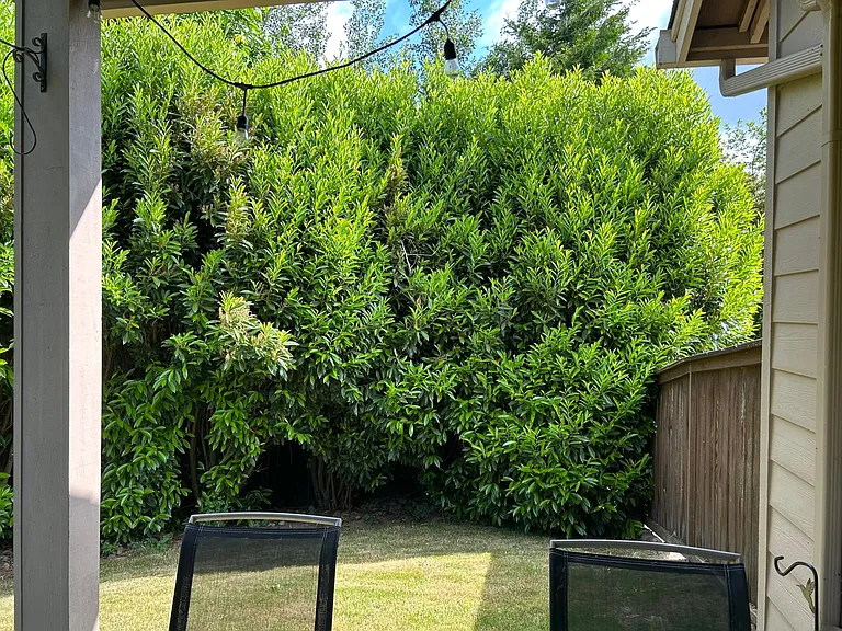 509 N Helens View Dr — Photo 10
