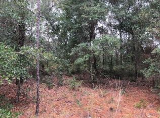 7387 W Rainbow St, Dunnellon, FL 34433