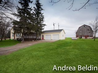 11230 Grant Rd, Carson City, MI 48811