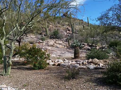 1st image of 7740 N Calle Sin Miedo