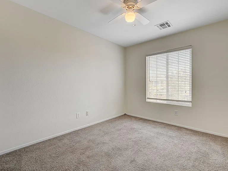 10299 Caverns Mouth Dr — Photo 29