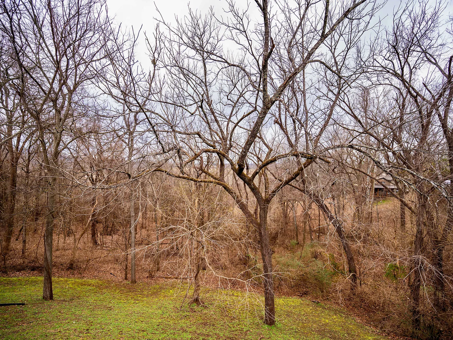 3 bed, 2.5 bath, 2255 sqft, $2,500 — Photo 4