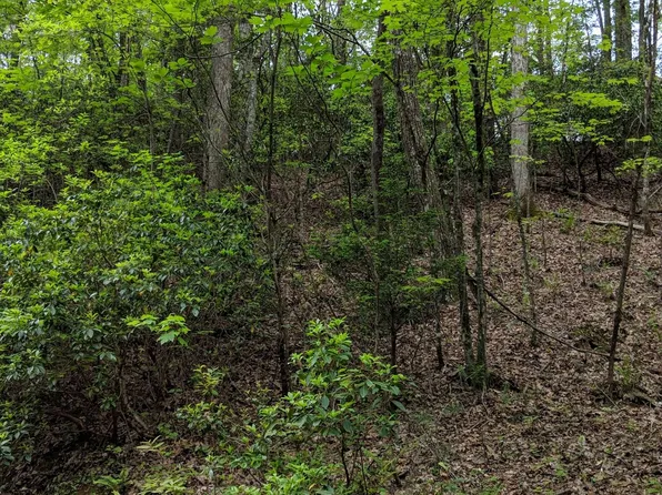 Apache Ct, Ellijay, GA 30540