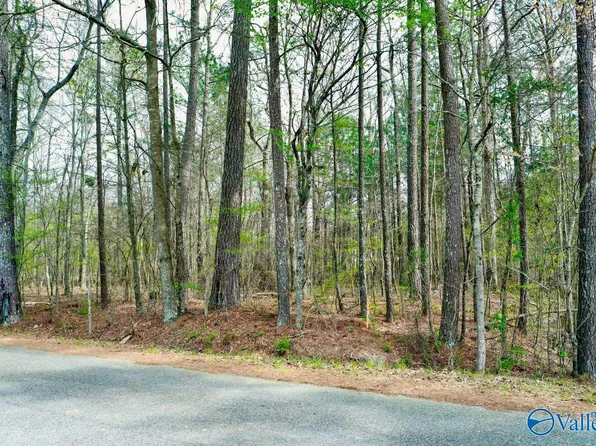 5 Indian Lake Dr, Rainbow City, AL 35906