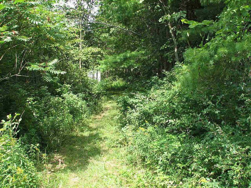 2nd image of County Route 30