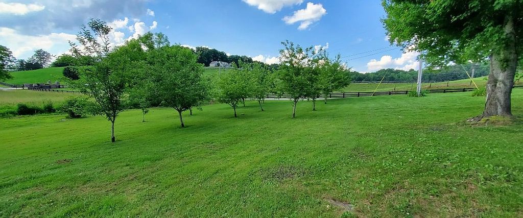 2459 Bacon Creek Rd - Property Image