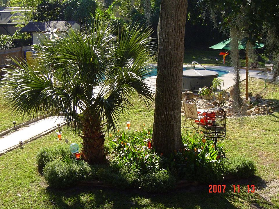 birds eye view from deck