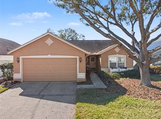 1113 Vinetree Dr, Brandon, FL 33510