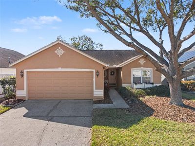 1113 Vinetree Dr, Brandon, FL, 33510