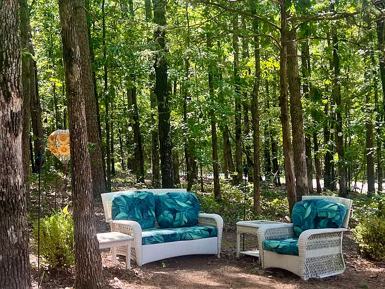 315 Mountain Ranch Dr — Photo 13