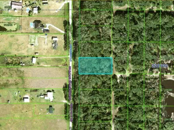 Oconner Rd, Kathleen, FL 33849