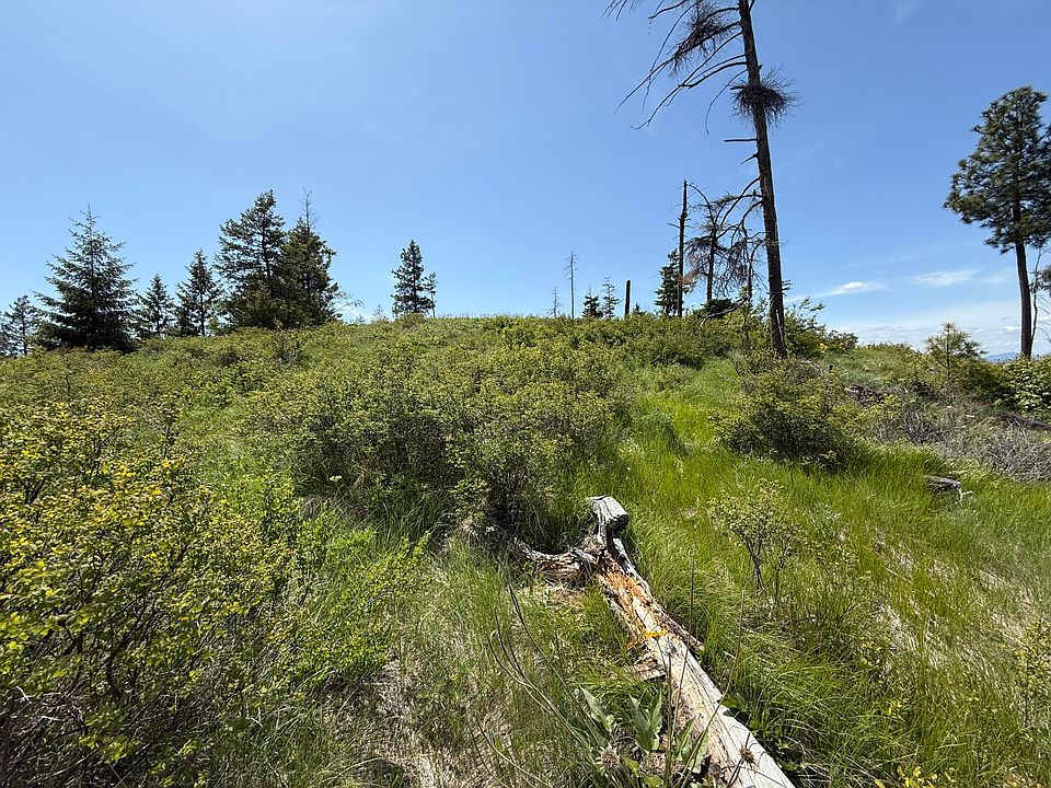 28th image of 3774C Daisy Mine Rd