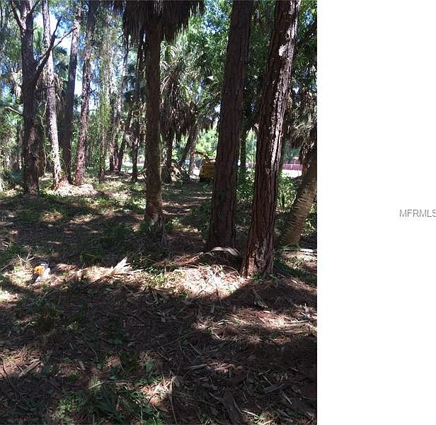 2nd image of 3762 Shore Blvd