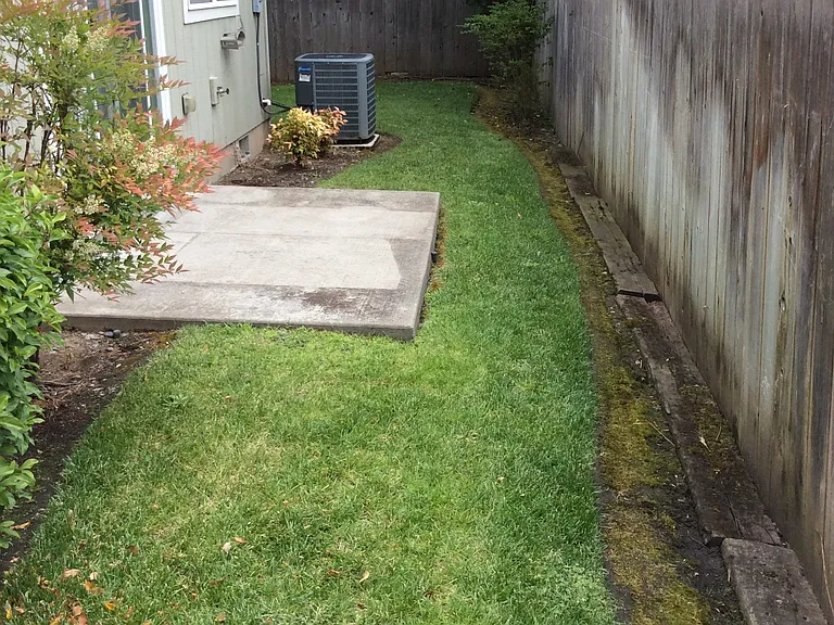 1381 back yard_01302020