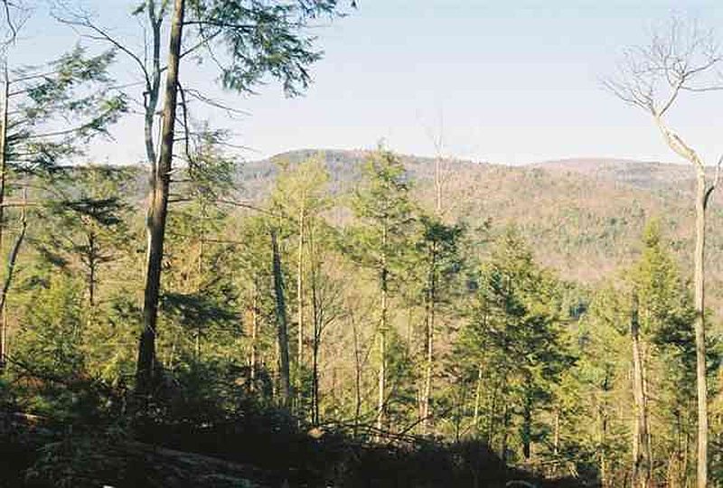 5th image of 0 ROUTE 9N