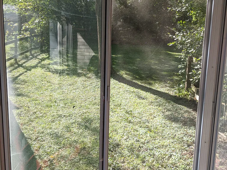 View of yard from sunroom.