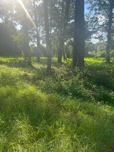 4390 Saint Paul Rd, Summerton, SC, 29148
