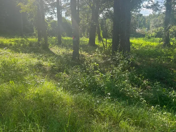 4390 Saint Paul Rd, Summerton, SC 29148