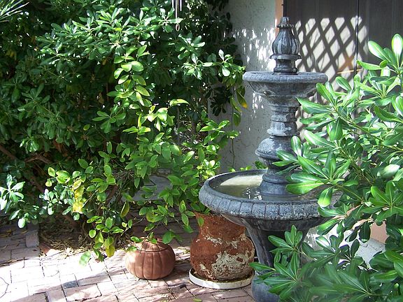 Front Garden