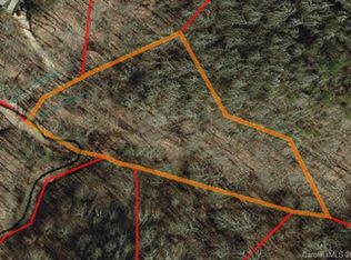 9999 Chambers Cove Rd, Canton, NC 28716