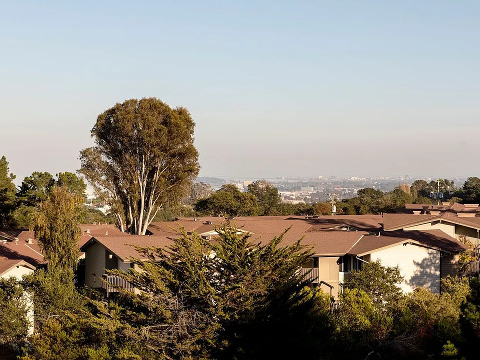 Crystal Springs Terrace