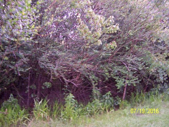 2nd image of 250 Webb Dr