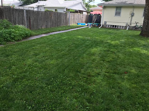 Back yard 