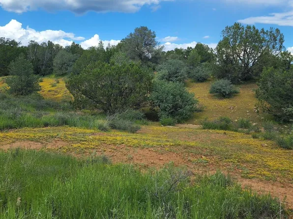 Logan St, Silver City, NM 88061