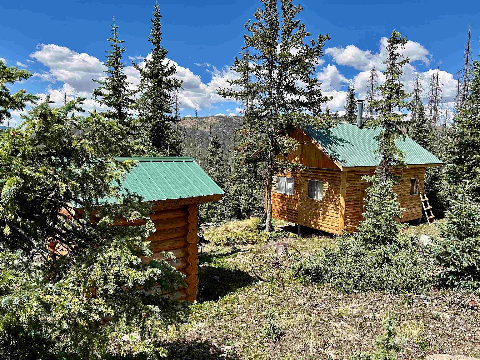 3190 Forest Rd 503, Creede, CO 81130 MLS 20234125 Zillow