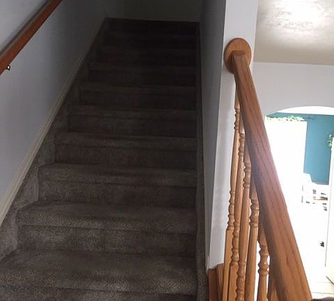 Stairs with new carpet