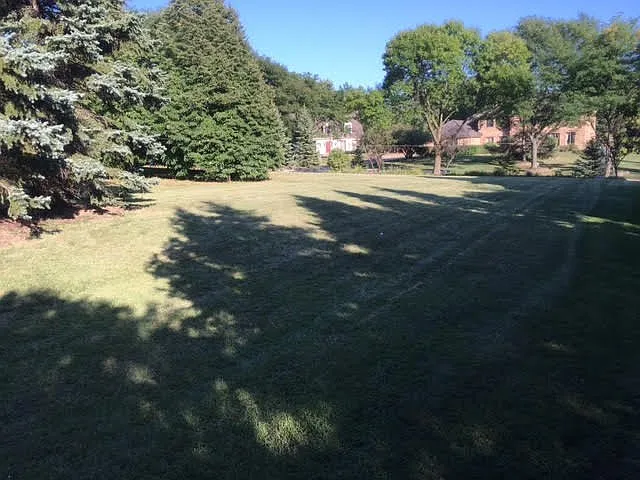 8171 Lake Ridge Dr photo 1