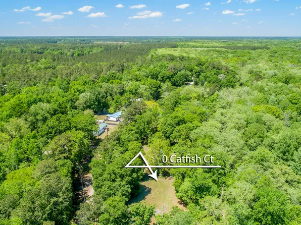 0 Catfish Ct, Ridgeville, SC 29472
