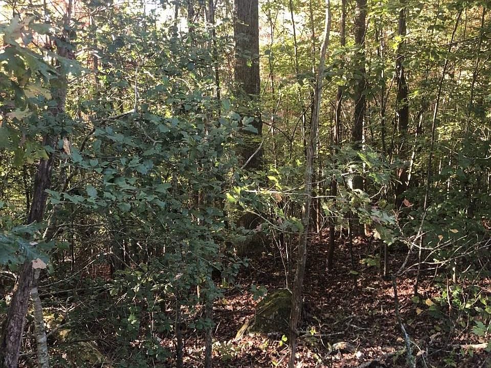 1st image of 46 Deer Acres Dr