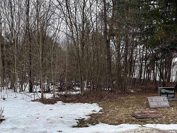 5th image of 0 Cedar River Rd