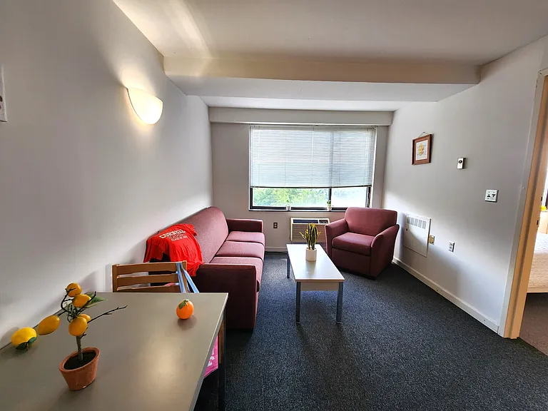 Collegetown Center, 151 Dryden Road — Photo 15