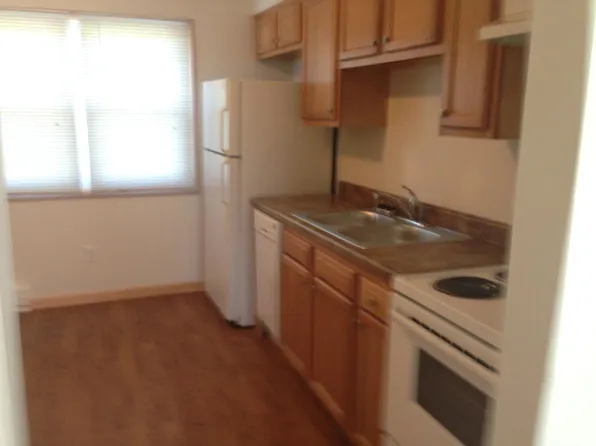 471 S West St APT 1, Peotone, IL 60468