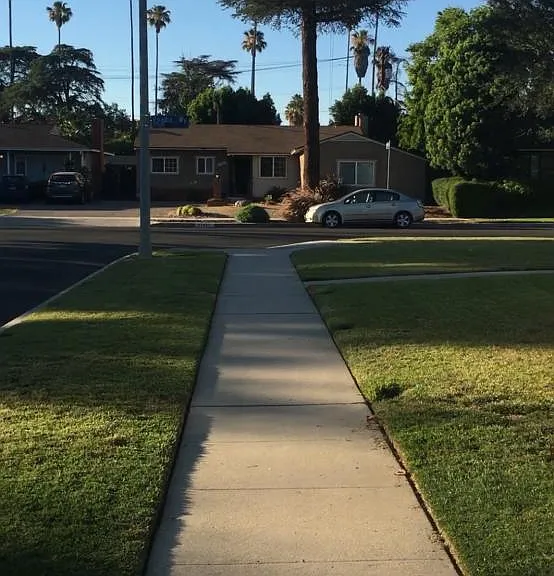 Nice Neighborhood