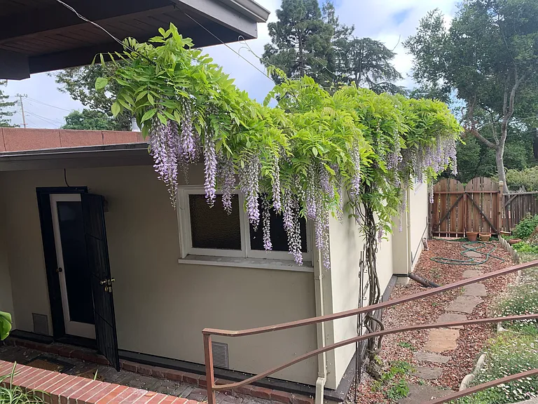 75 Parnassus Rd — Photo 22
