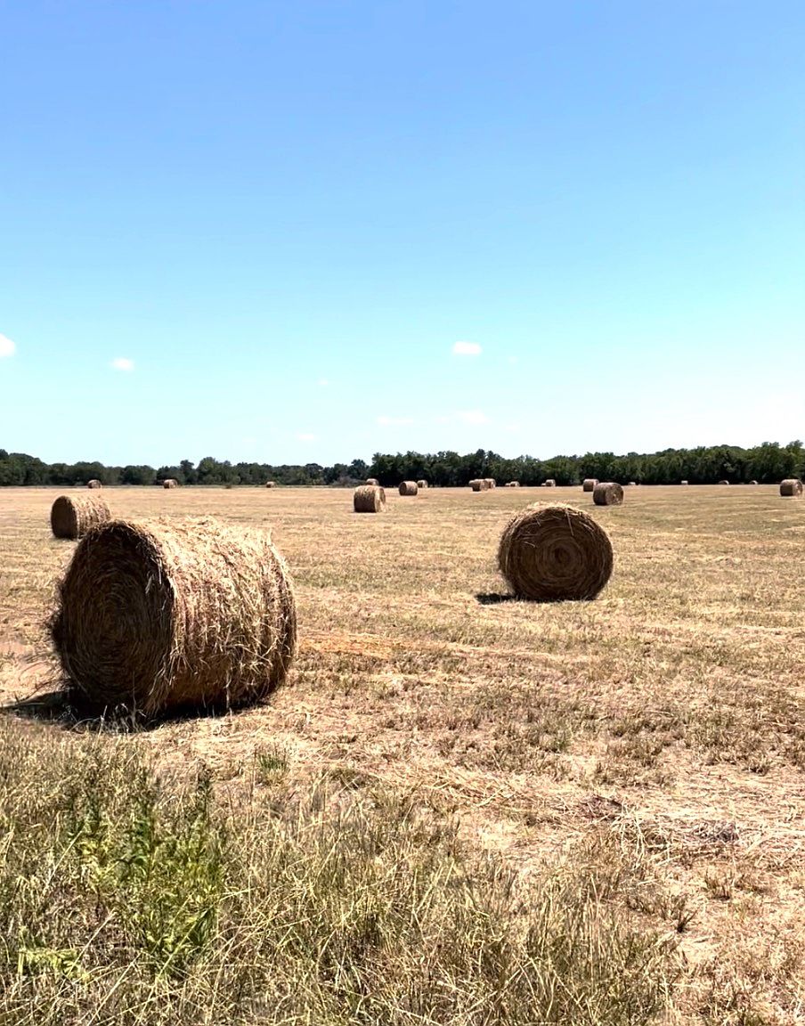 11500 State Highway 78 S, Milburn, OK 73450 MLS 11215419 Zillow