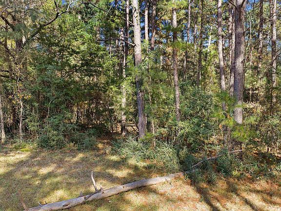 5th image of County Road 157