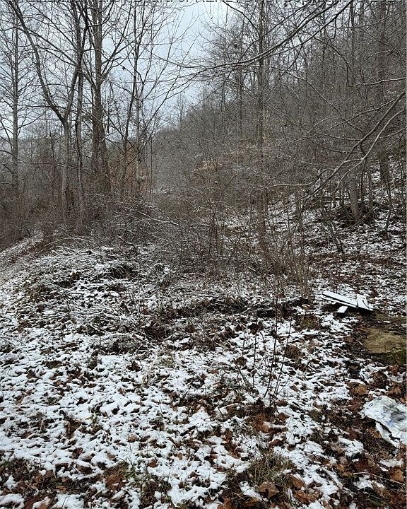 5700 Buck Fork Rd, Harts, WV 25524 Zillow