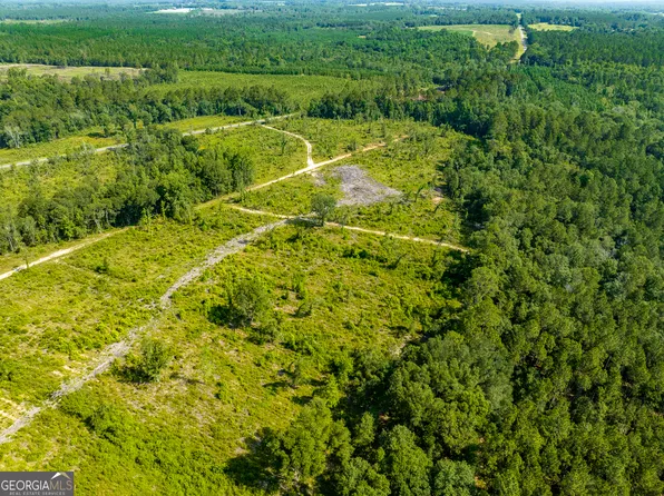 0 Oscar Tippins Rd, Baxley, GA 31513