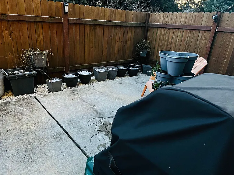 2520 Sunset Dr #6 — Photo 6