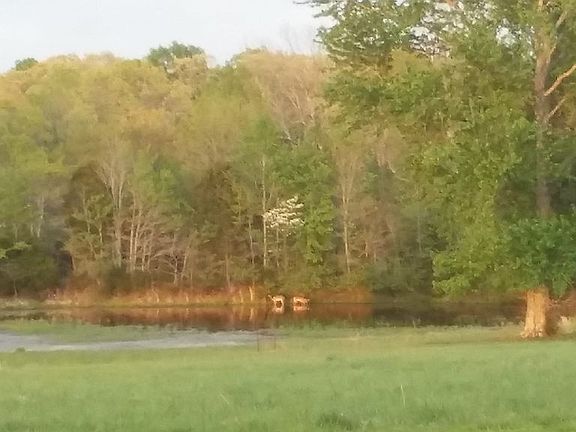 Small pond behind home.