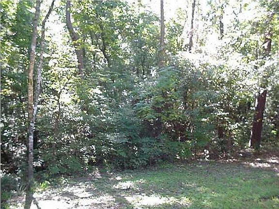 private backyard extends into wooded natural area 