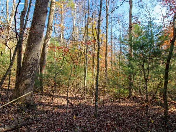 Fox Run Trl, Fancy Gap, VA 24328