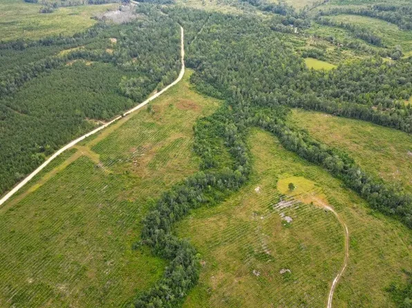 0 John S Horton Rd Tract 1, Adrian, GA 31002