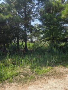 1 Lekites Dr #1, Chincoteague Island, VA, 23336