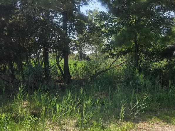 1 Lekites Dr #1, Chincoteague Island, VA 23336