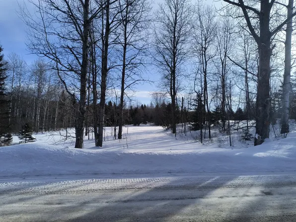 Bates Gaastra Rd, Iron River, MI 49935